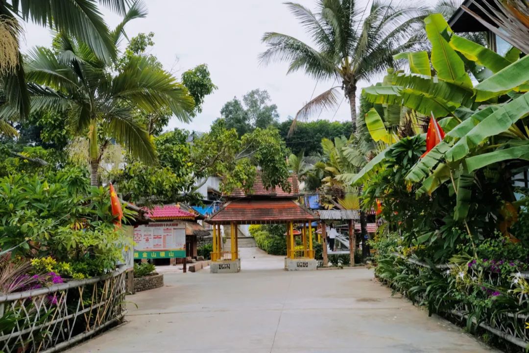 DƬ